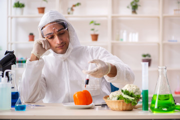 Scientist working in lab on GMO fruits and vegetables