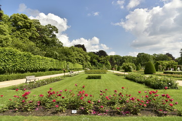 Parterre de roses rouges sur l'une des vastes pelouses de la roseraie du domaine provincial de Vrijbroekpark à Malines