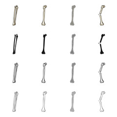 Naklejka premium Vector illustration of medicine and clinic logo. Set of medicine and medical stock symbol for web.