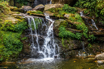beauty of a Tiny Waterfalls in rock garden darjeeling