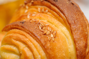 Fototapeta premium Fresh delicious rolls with sesame in dish. Macro shot of fresh rolls with sesame. Food, copy space