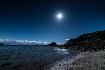 爪木崎　月夜の水仙