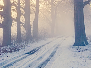 Polna droga zimą pogrążopna we mgle.
