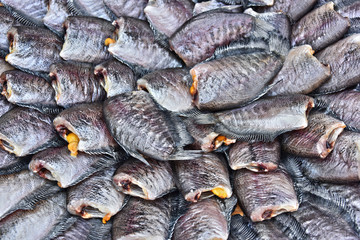 Dried salted damselfish sold on the street market in Thailand