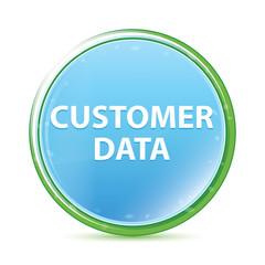 Customer Data natural aqua cyan blue round button