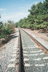 Obraz premium Empty railway road in country Perspective view of railroad running away among green coniferous trees in sunny rural landscape