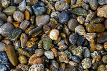 Sea pebble, stones background, beach rocks