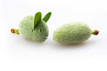 green almond on white background