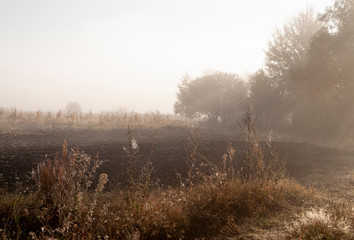 Obraz na płótnie Canvas Early morning in the field with autumn fog and drops of water in the air. Tints of brown. Nothing could be seeing far away. Beautiful mistery landscape