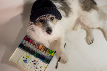 dog artist in a hat, dog as a painter with a brush