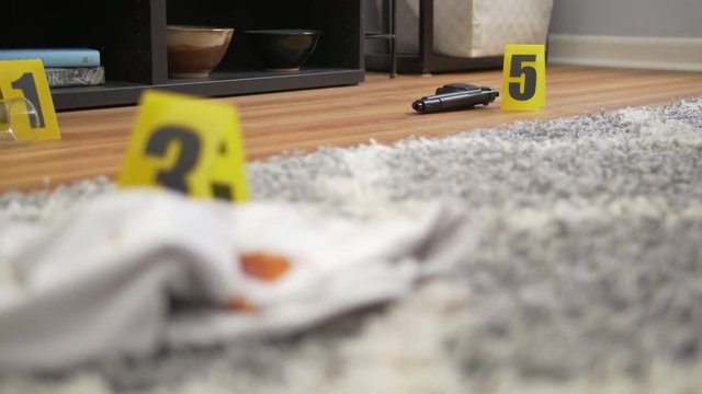 Gun at Home Crime Scene with Evidence Markers