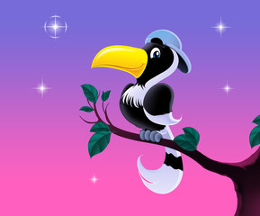 bird hornbill © prateep