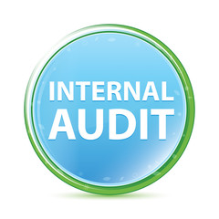 Internal Audit natural aqua cyan blue round button