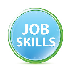 Job Skills natural aqua cyan blue round button