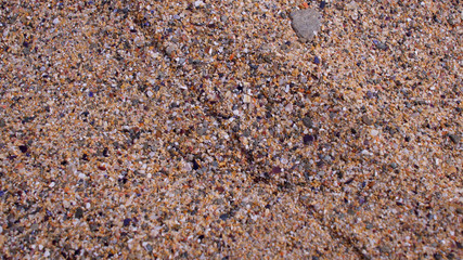 Course sand on a sunny atlantic beach, close up (shallow depth of focus)