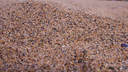 Course sand on a sunny atlantic beach, close up (shallow depth of focus)
