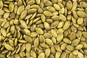 Top view on background texture of pumpkin seeds. Copy space for text.