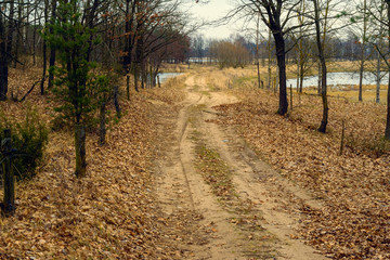 Fototapeta premium Rozlewiska Narwi i Biebrzy. Wiosna na Podlasiu