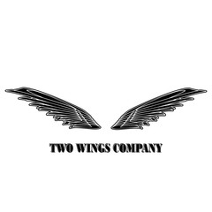 Two  black wings logo company. Two wings with white stripes vector eps10 