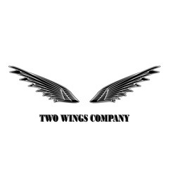 Two  black wings logo company. Two wings with white stripes vector eps10 
