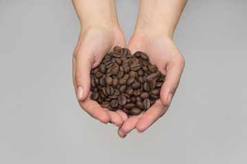 Coffee beans in the palms on an isolated backgrounds