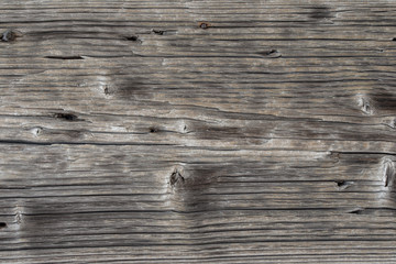 old wooden plank macro background