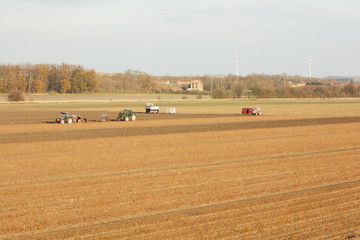 Fototapeta na wymiar Farmers preparing field for winter