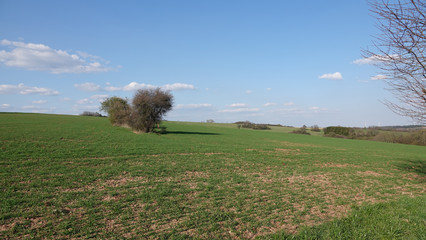 Landschaft im Saarland