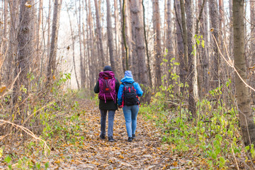Travel, tourism, hike and nature concept - Tourists walking in park with backpack dressed in blue and black jackets, back view