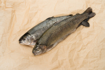 Purified fish on craft paper. Rainbow trout gutted