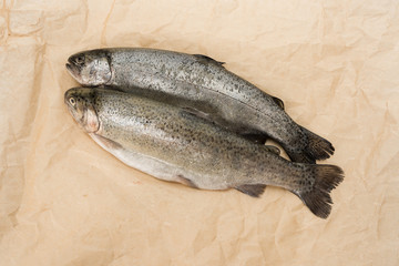 Purified fish on craft paper. Rainbow trout gutted