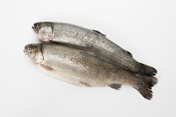 Rainbow trout gutted.Peeled fish on a white background