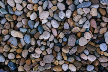 Pebbles in a Garden