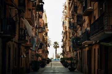 Barcelona Street view with tree