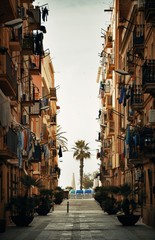 Barcelona Street view with tree - obrazy, fototapety, plakaty