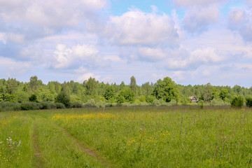 Fototapeta na wymiar long road through green fields, perspective, distant farmhouse, blue sky.