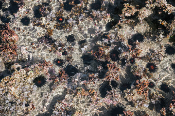 Wilderness Beach, Base Ramey, Puerto Rico