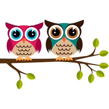 Two colorful owls on a branch