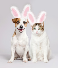 Cat and dog wearing Easter bunny ears peeking out