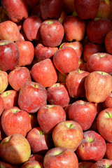 red apples in the market