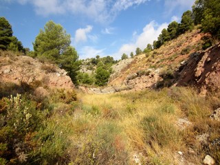 Fototapeta na wymiar Mediterranean colours and vegetation