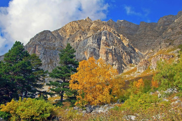 beautiful autumn landscape rocky mountains with autumn trees