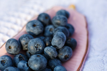 Close up fresh blueberries in pink plate
