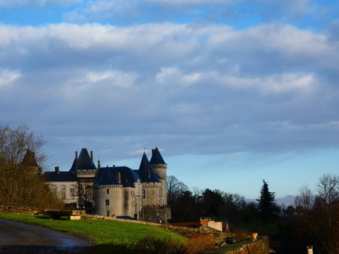 Chateau de Verteuil  in Verteuil-sur-Charente, France