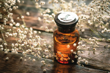 Gypsophila flower essential oil in a bottle on a wooden board background. Herbal medicine.