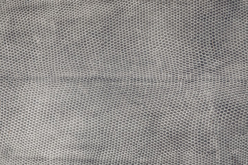 Gray iguana leather texture