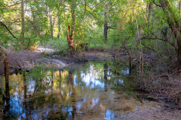 Blue Sink, Madison County, Florida