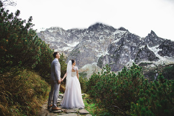 Wedding couple walking near the lake in Tatra mountains in Poland. Morskie Oko. Beautiful summer day © Olha