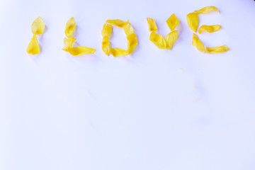 Close-up - on a white background written yellow tulip petals .