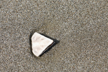 Sand Strand mit Muscheln